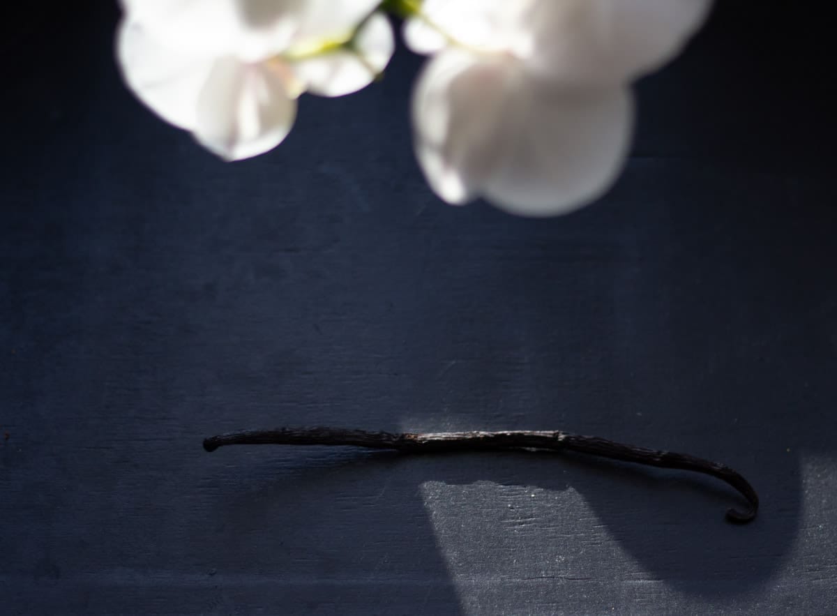 A vanilla bean on a dark background