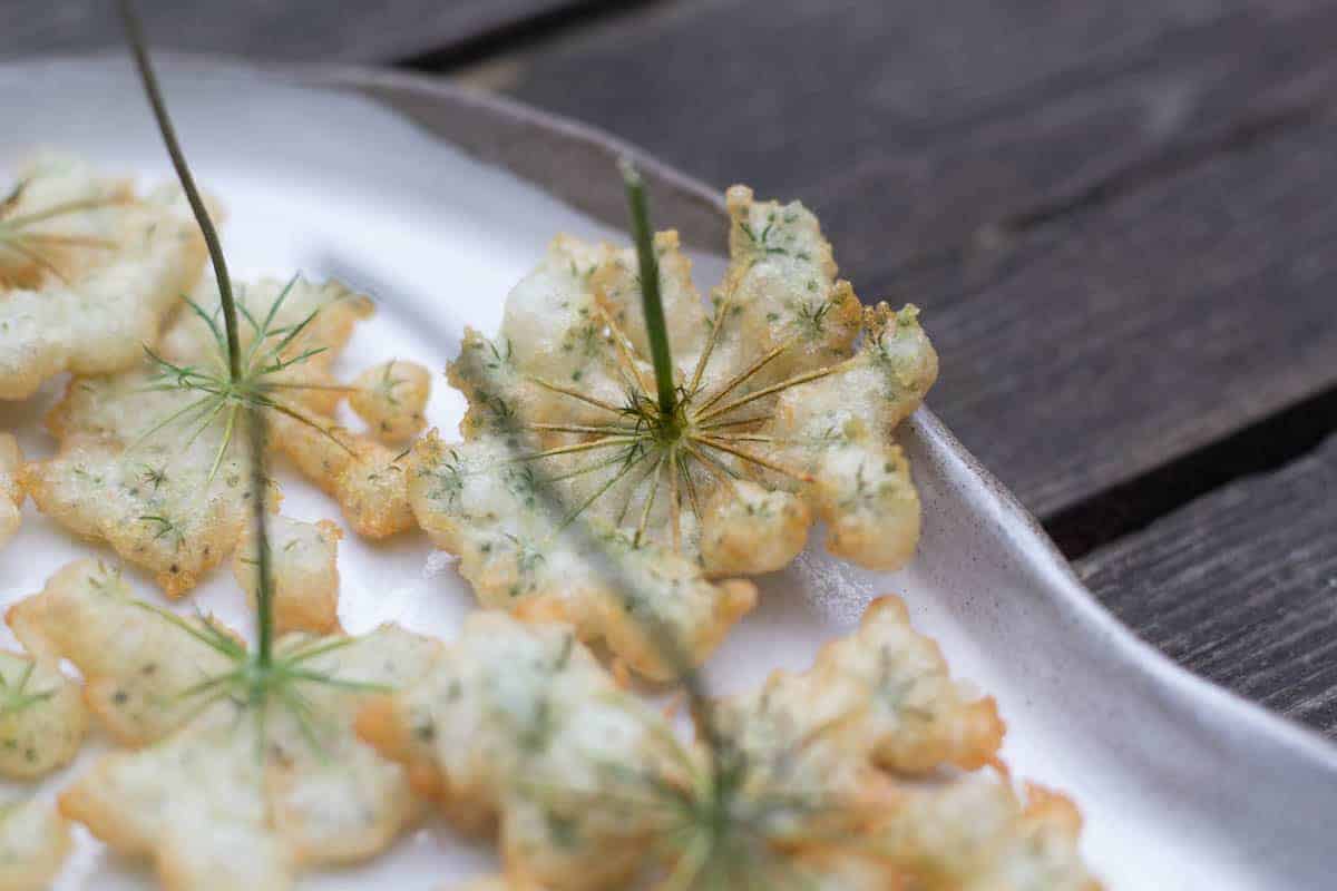 Close up of fried wild carrot flower