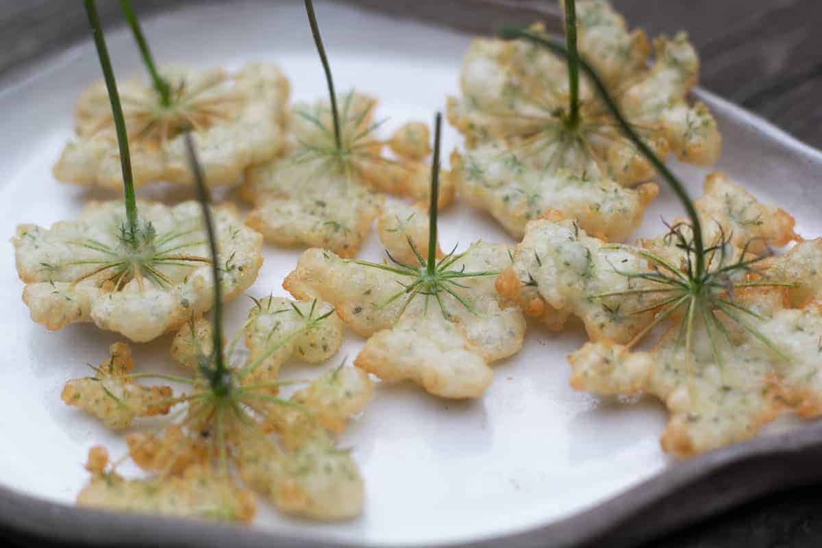 close up of Queen Annes lace fritters on a ceramic plate