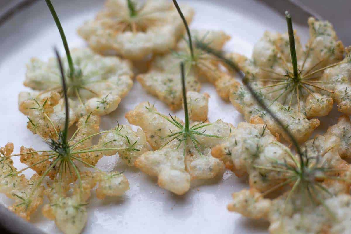 queen Annes lace fritters on a ceramic plate