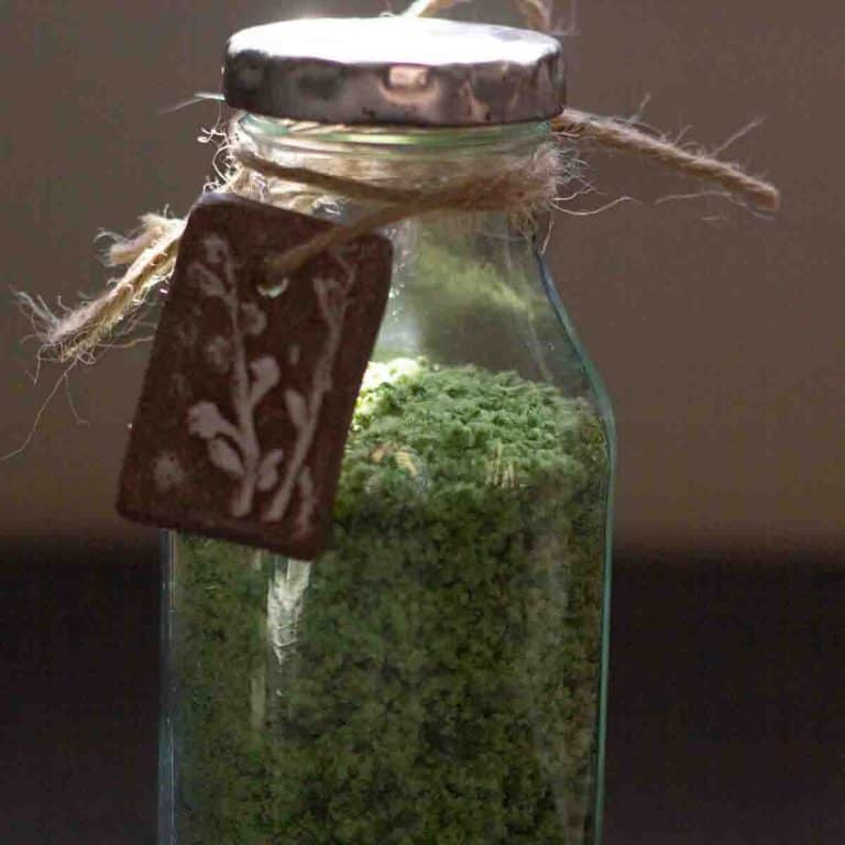 wild garlic salt in a glass bottle or jar labeled using a ceramic gift tag and rustic string