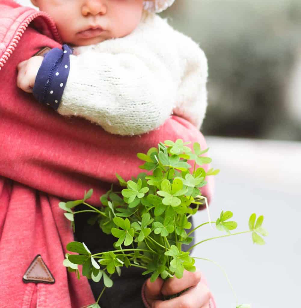 a girl holding a bunch of wild wood sorrel in one hand and a young baby in the other