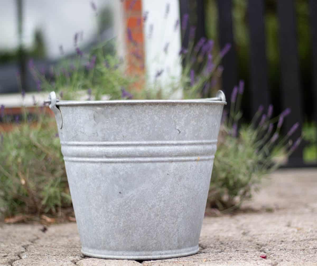 a metal bucket with lavelder flowers beside it
