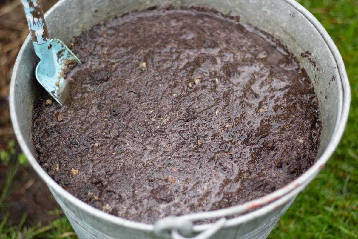 A metal bucket filled with very wet soil
