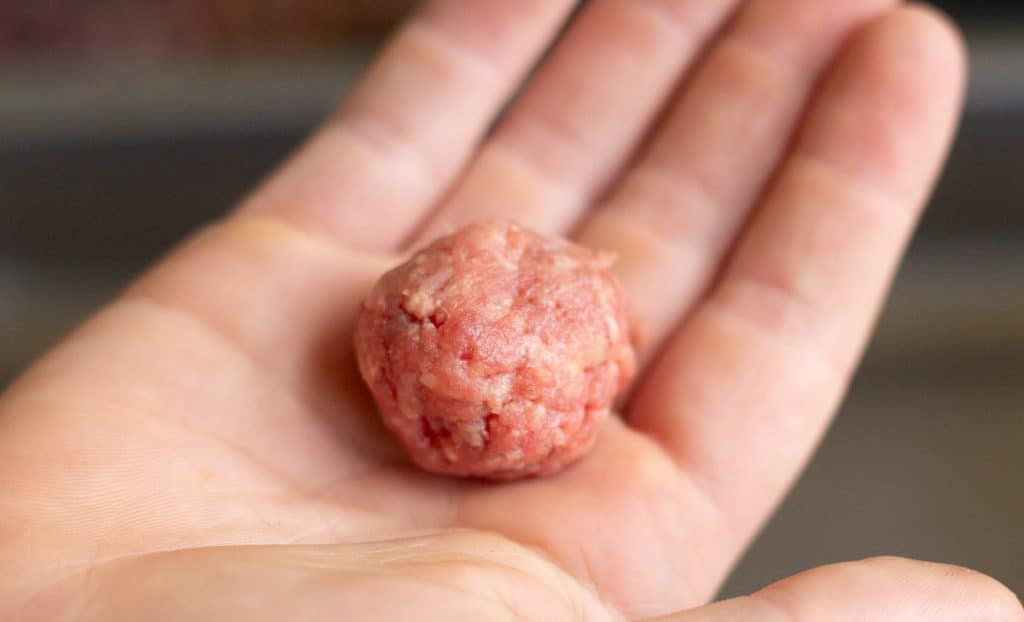 A hand holding a perfectly rolled meatball
