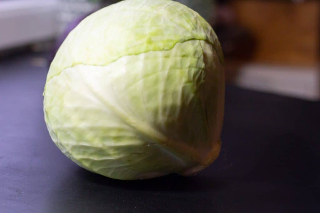 A whole head of white cabbage on a dark table