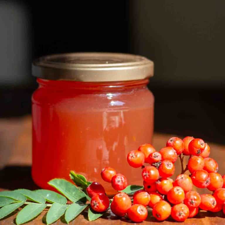 Small jar of rowanberry and apple jelly beside a cluster of rowanberries and a rowan leaf