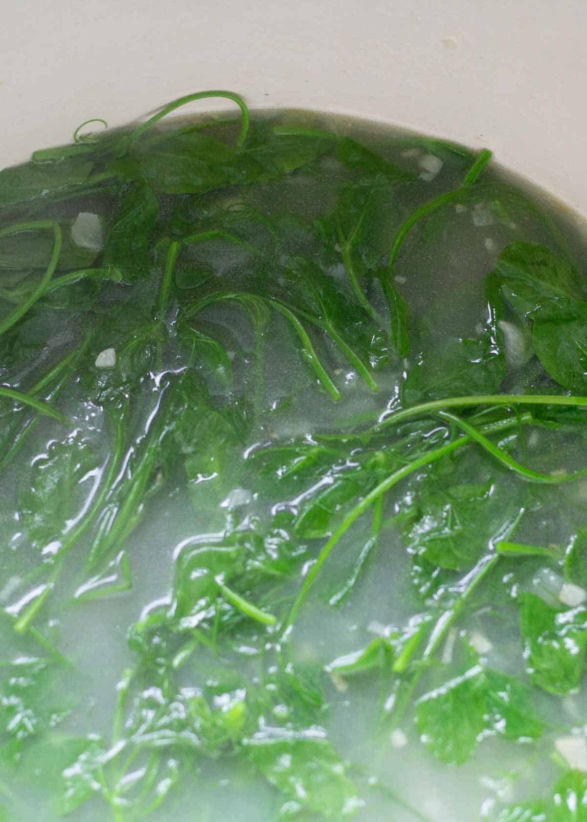 wilted pea shoots in a pot of chicken broth